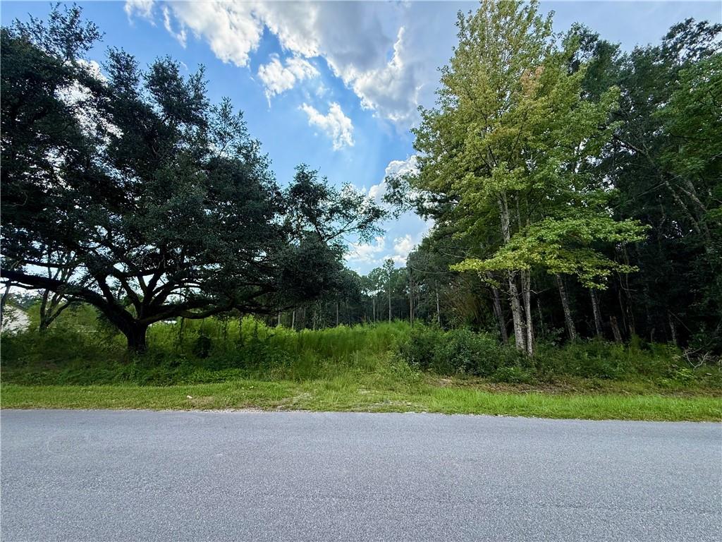 Wooded vacant lot across a paved road, with dense trees and undergrowth.