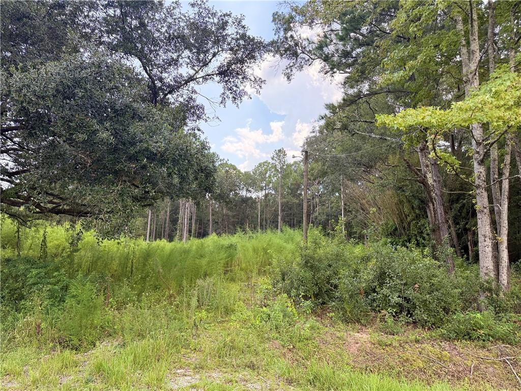 Wooded lot with dense green undergrowth, mature trees, and a small clearing.