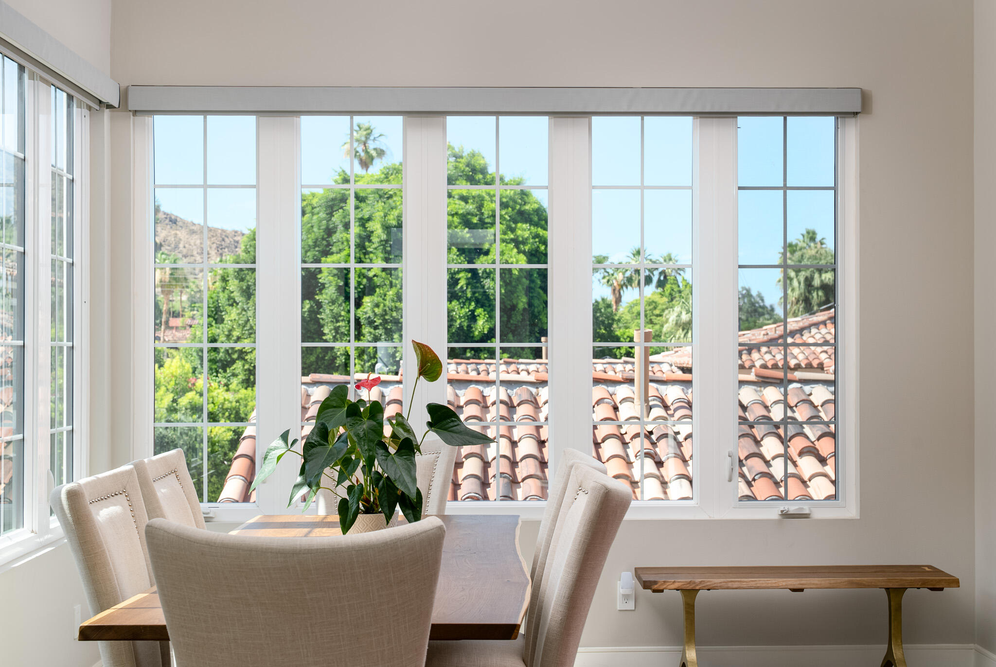 233 Calle La Soledad