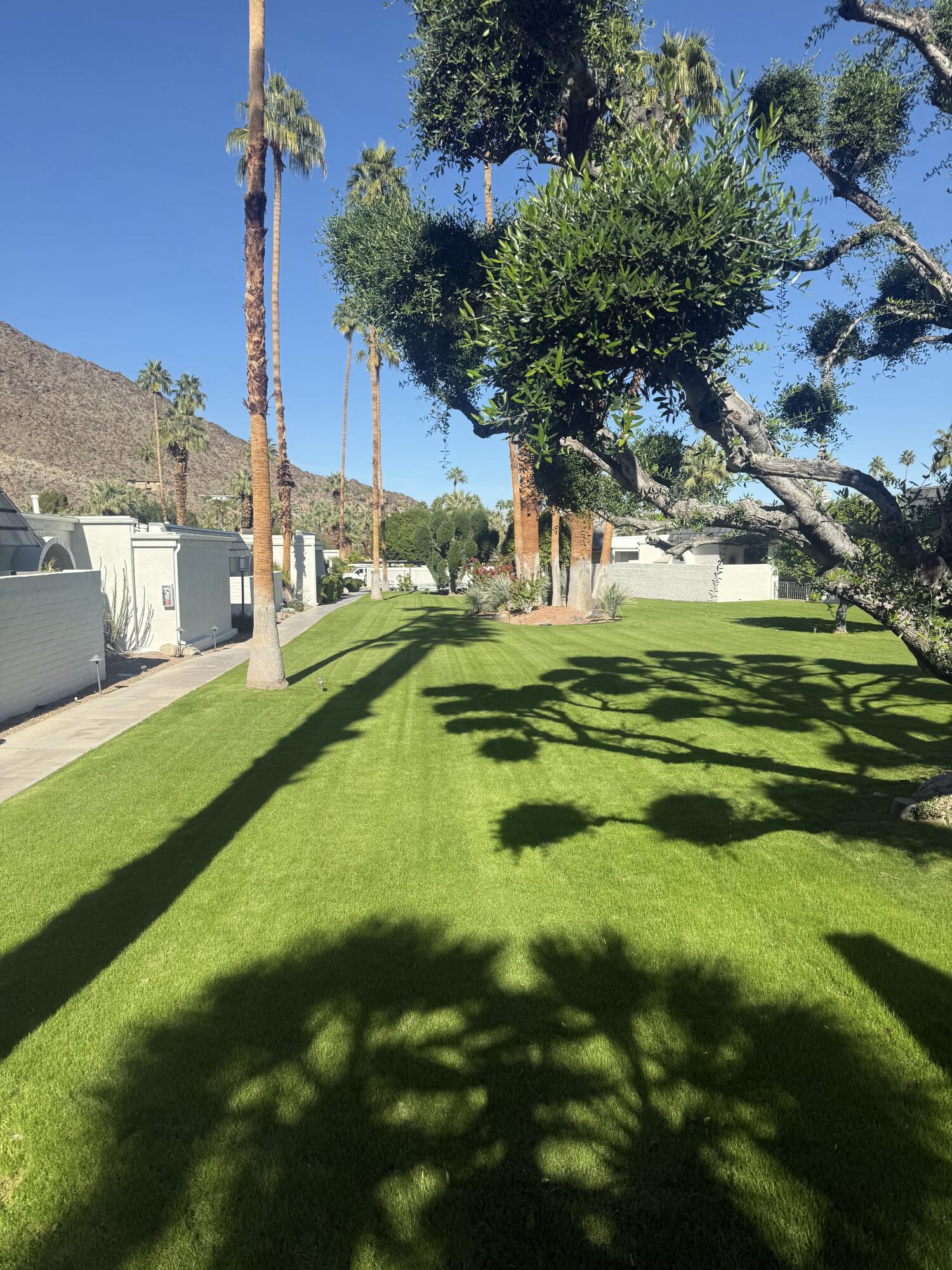 555 W Baristo RD Unit: 18