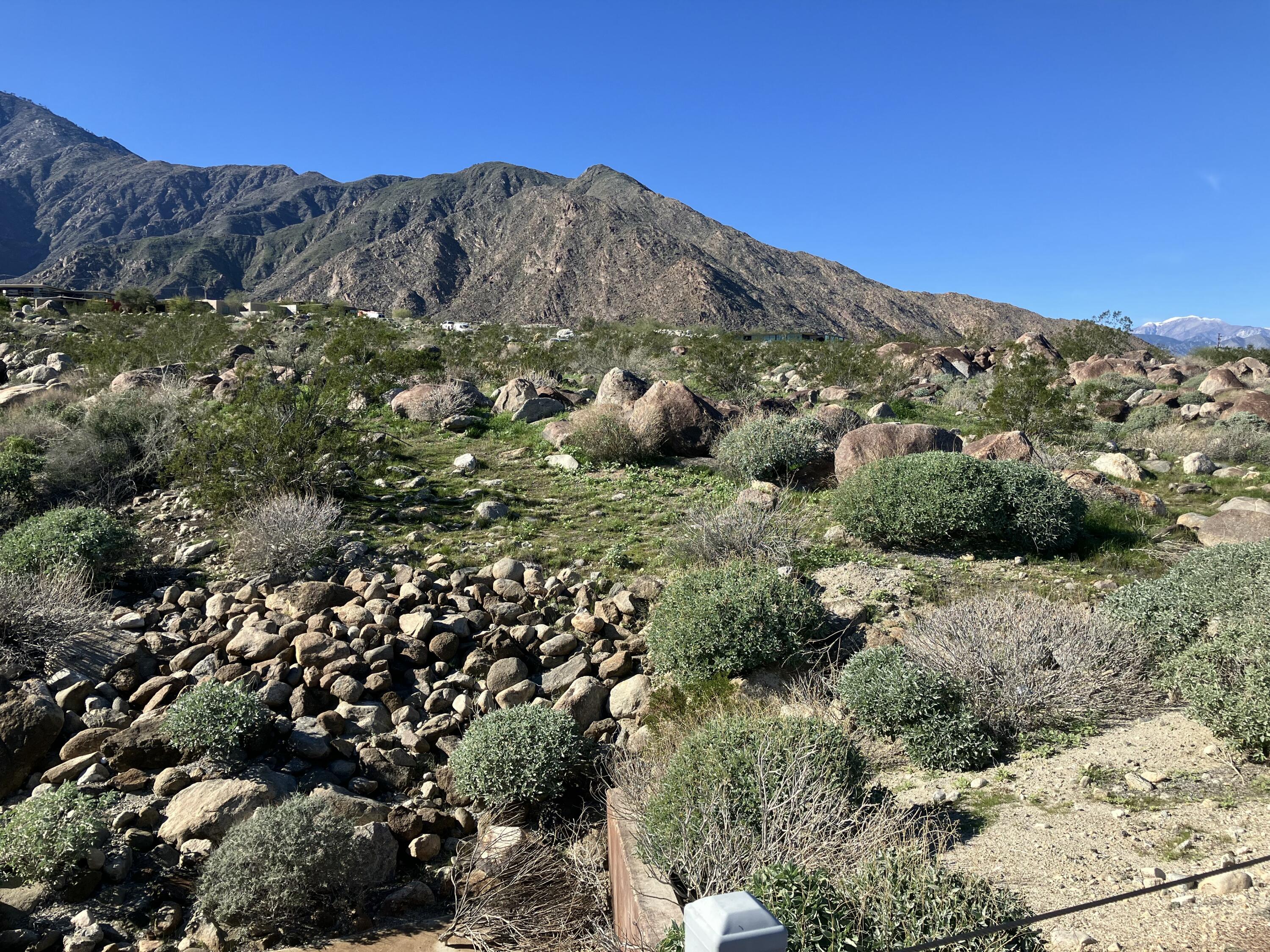 2321 Vista Palizada DR