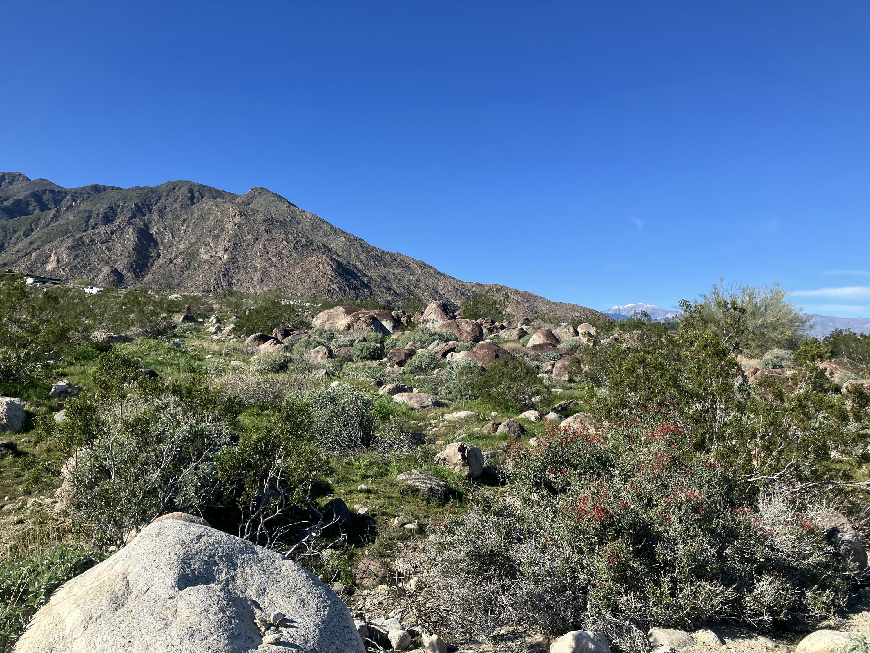 2321 Vista Palizada DR