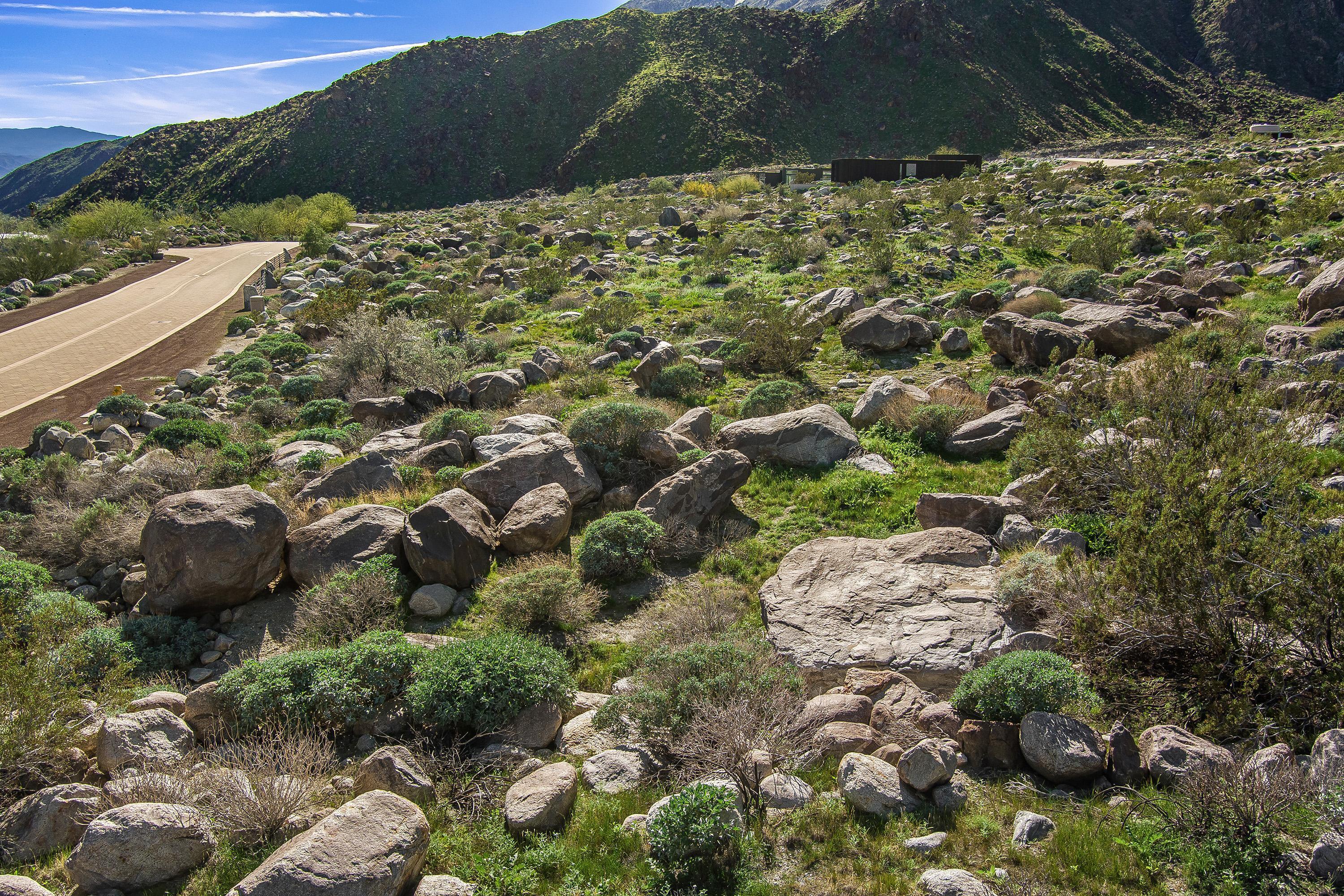 2321 Vista Palizada DR