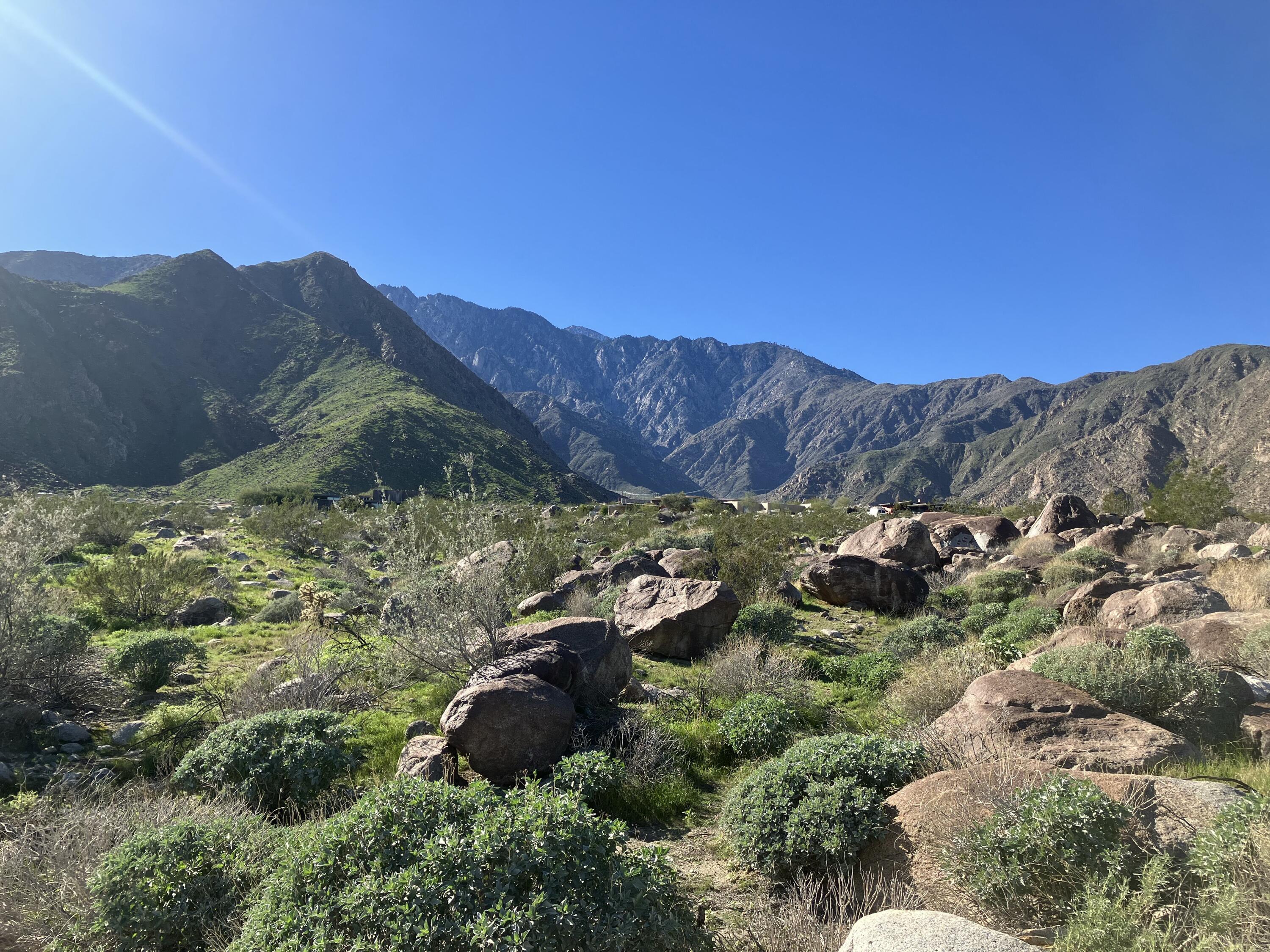 2321 Vista Palizada DR