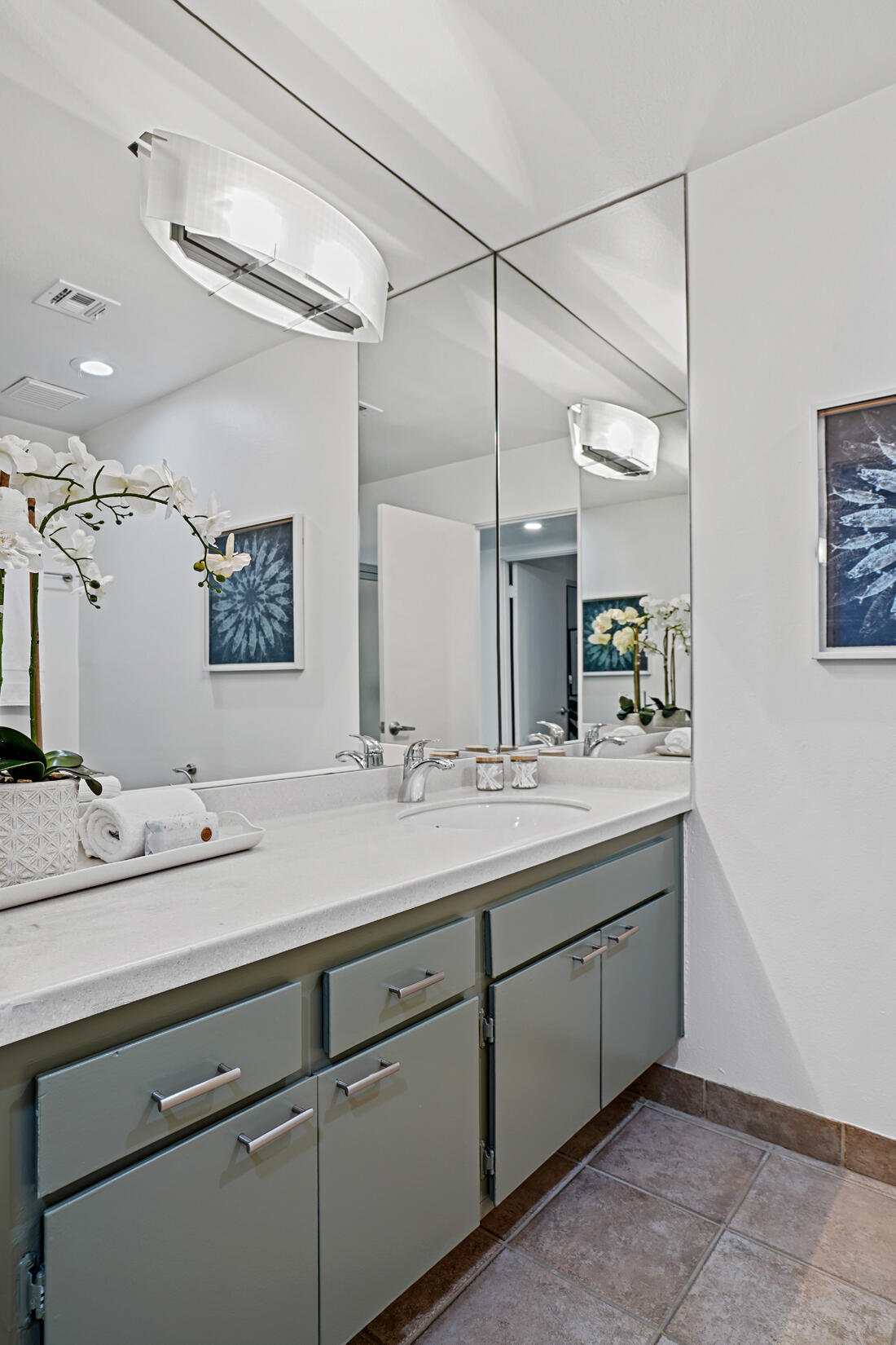 407 N Orchid Tree LN