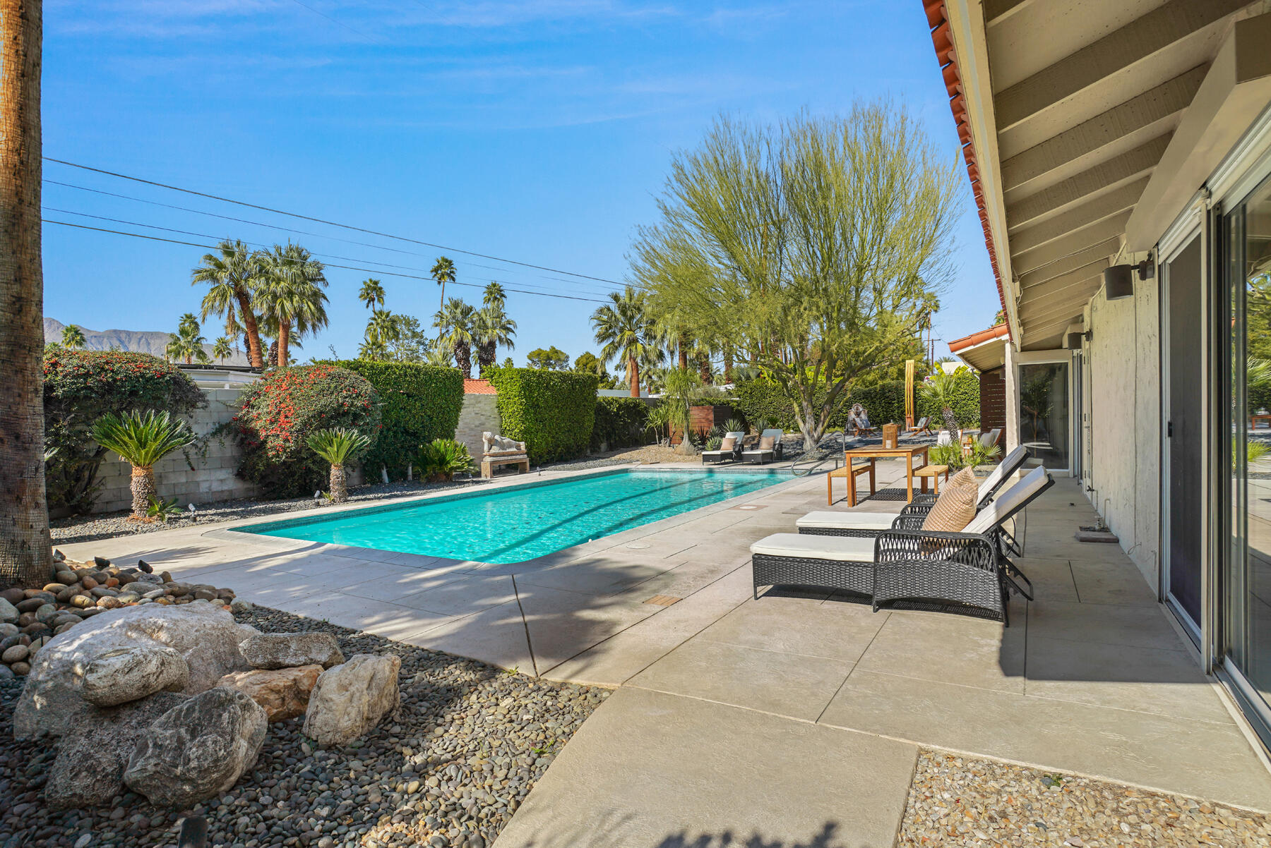 407 N Orchid Tree LN