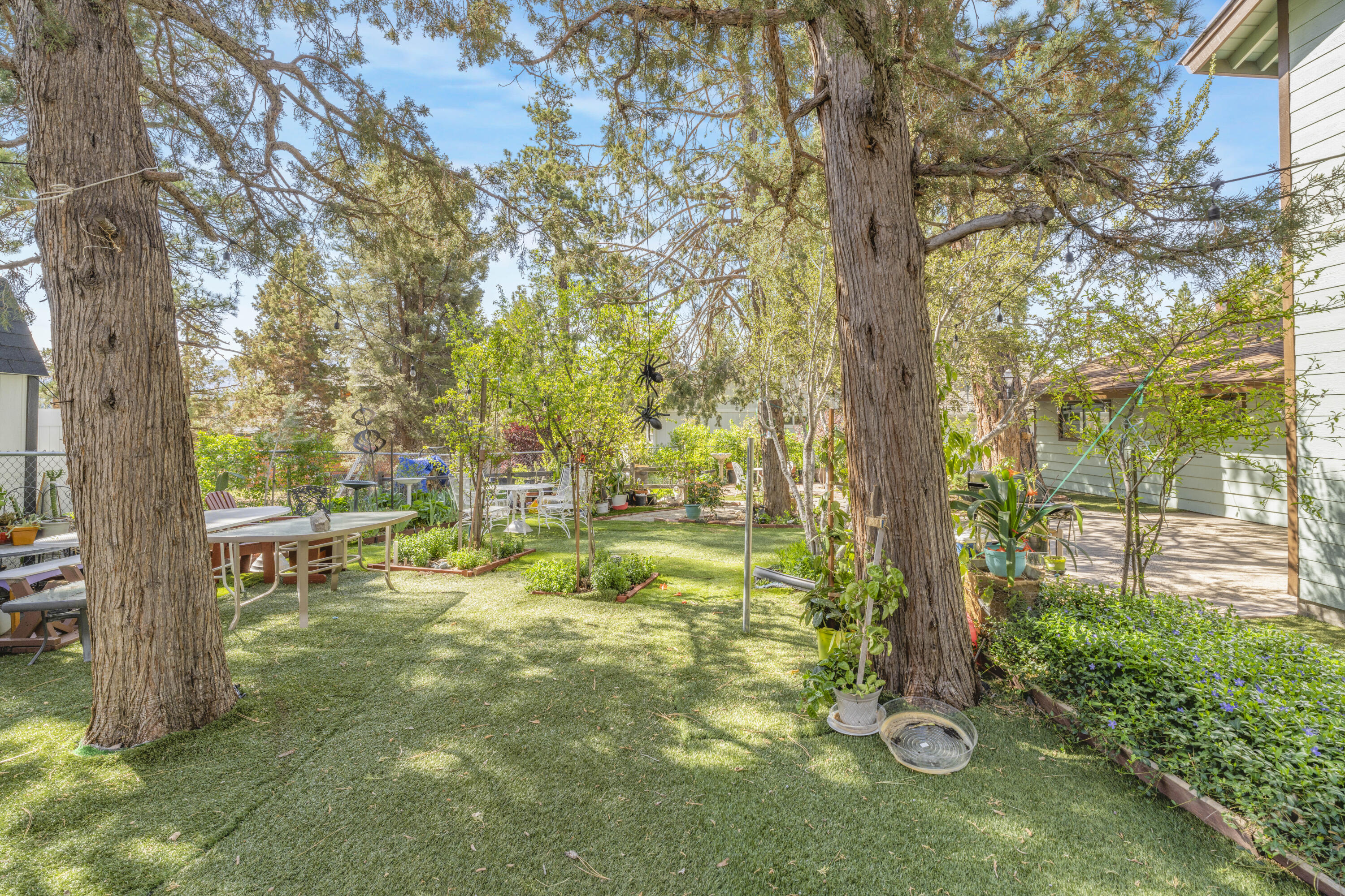 1018 Feather Mountain DR