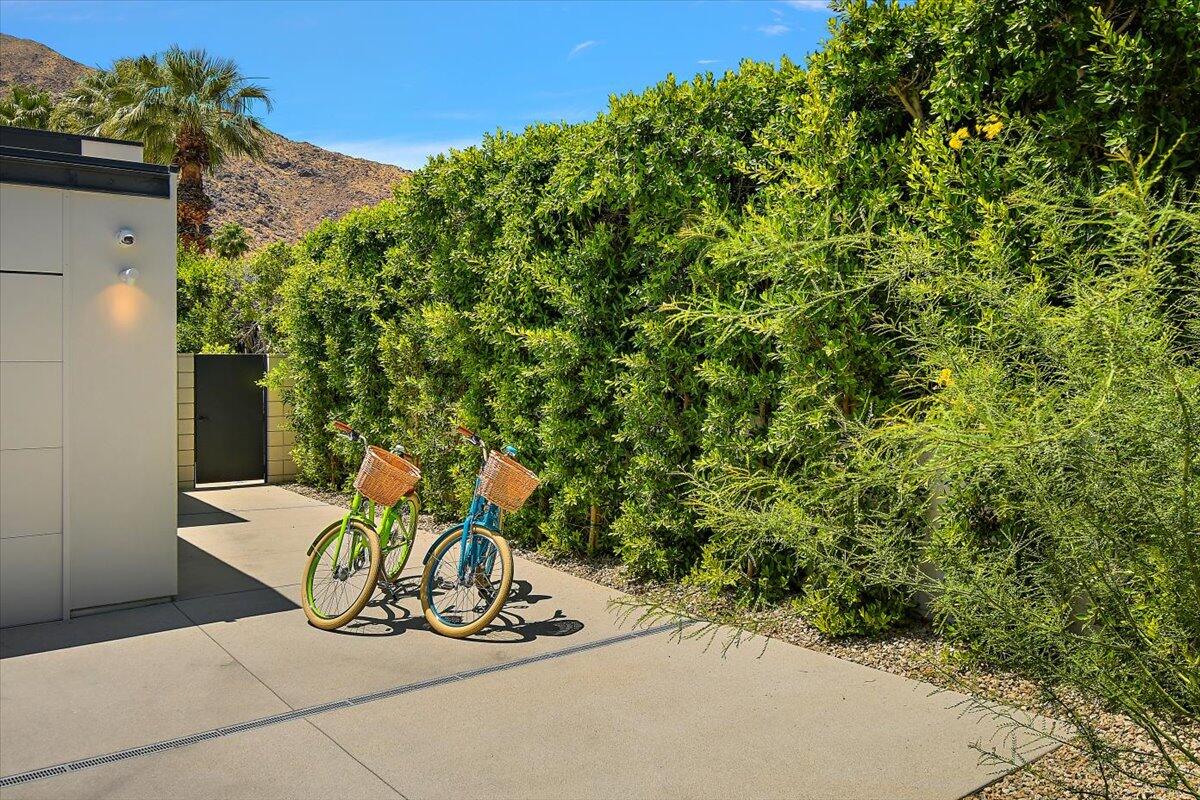 1175 Camino Mirasol