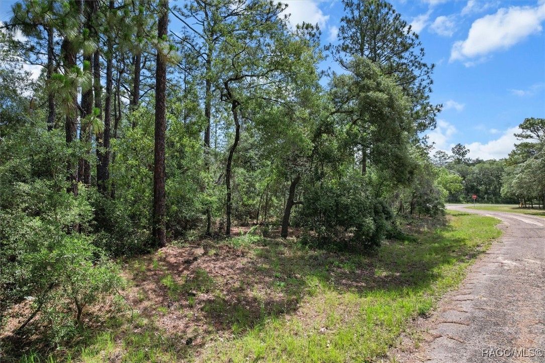 3621 W Norwick Place