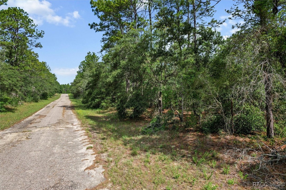 3621 W Norwick Place