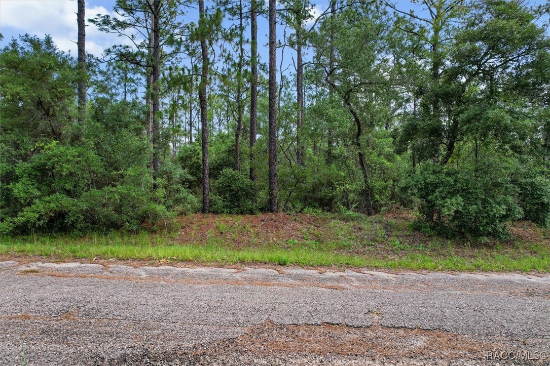 3621 W Norwick Place