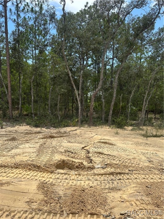 6167 W Rio Grande Drive