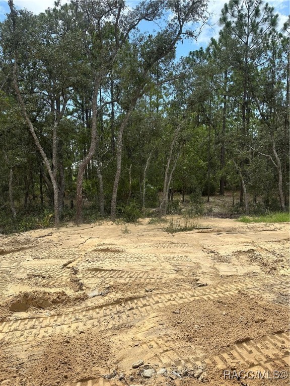 6167 W Rio Grande Drive