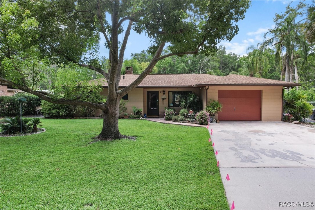 10090 S Riviera Point