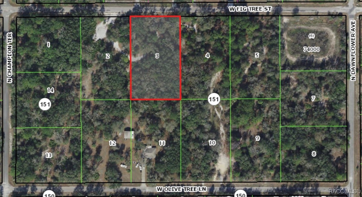 11950 W Fig Tree Lane