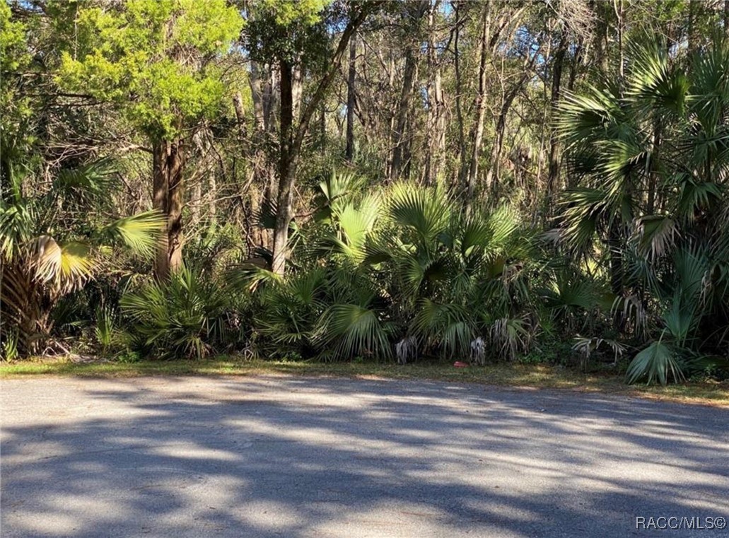 4121 N Sun Dance Point