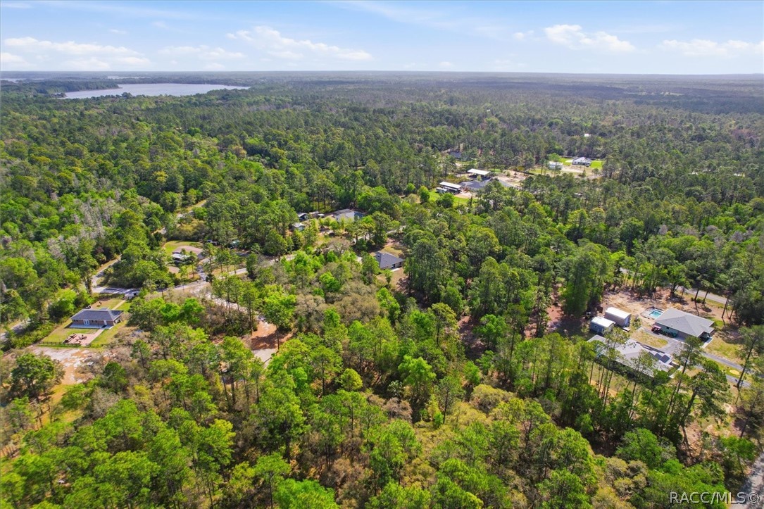 9620 N Goldenbell Way