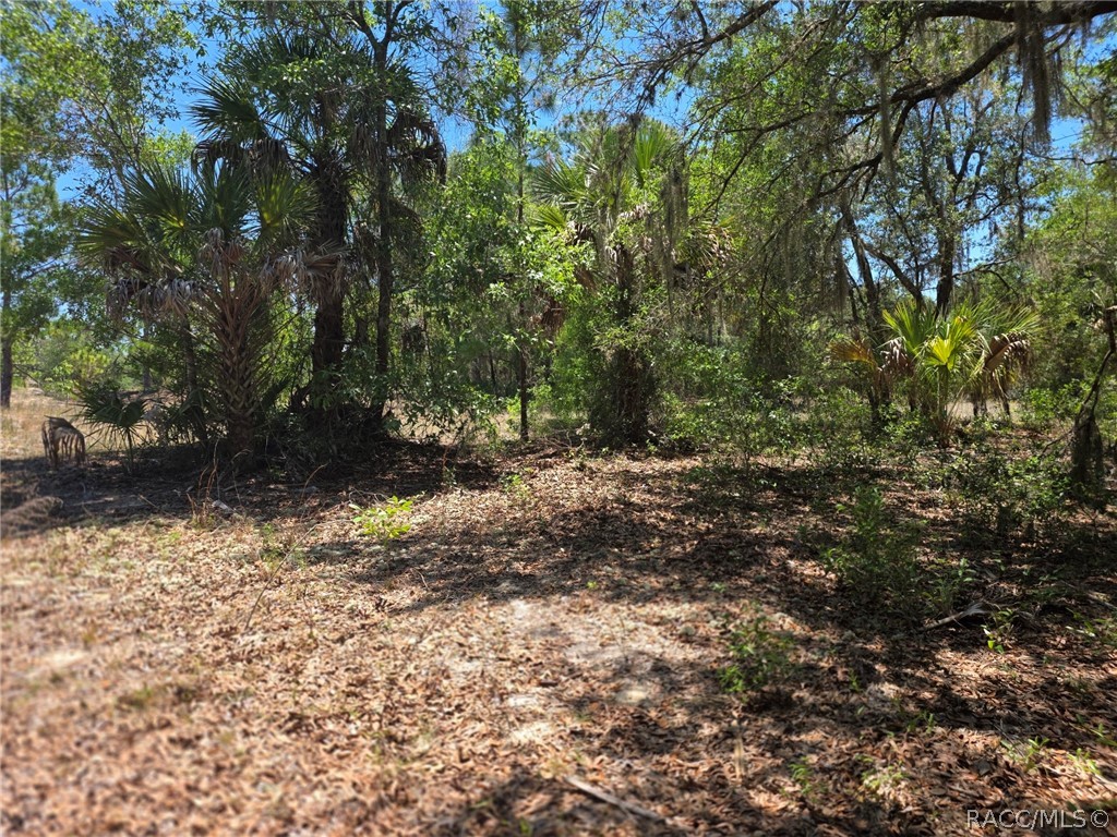 11837 N Captiva Terrace