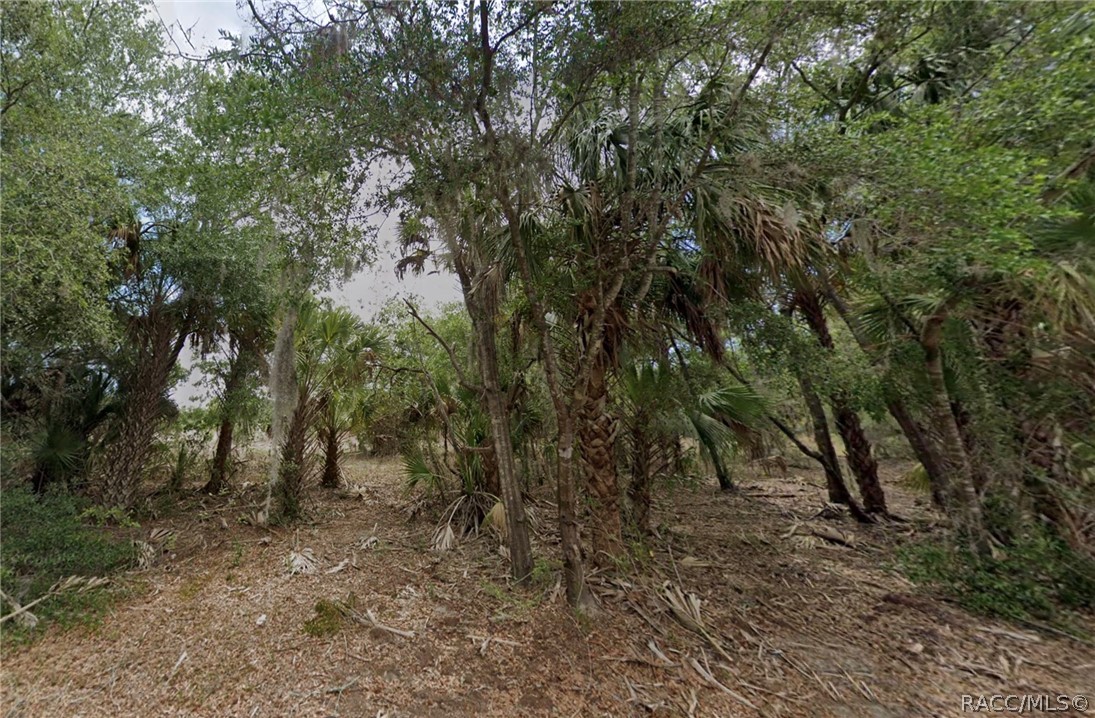 11837 N Captiva Terrace