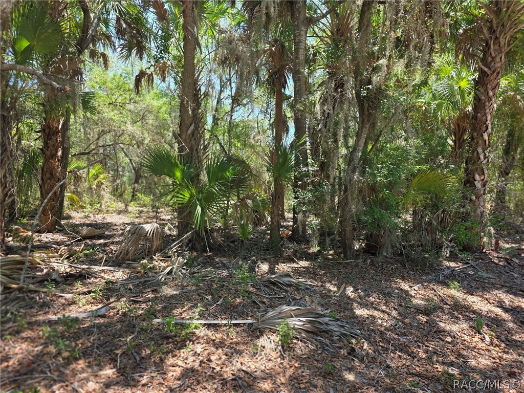 11837 N Captiva Terrace