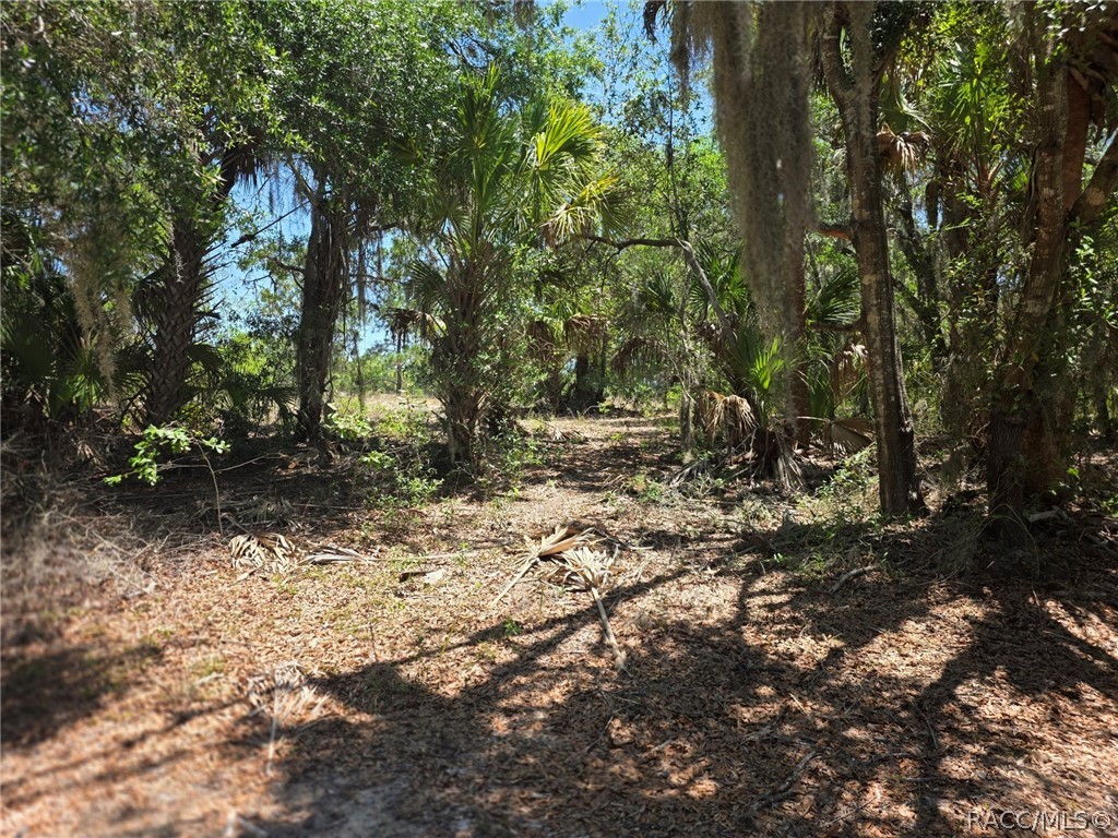 11837 N Captiva Terrace