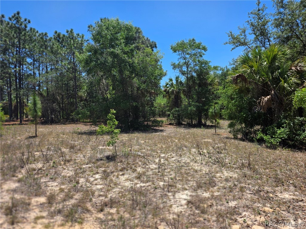 11837 N Captiva Terrace