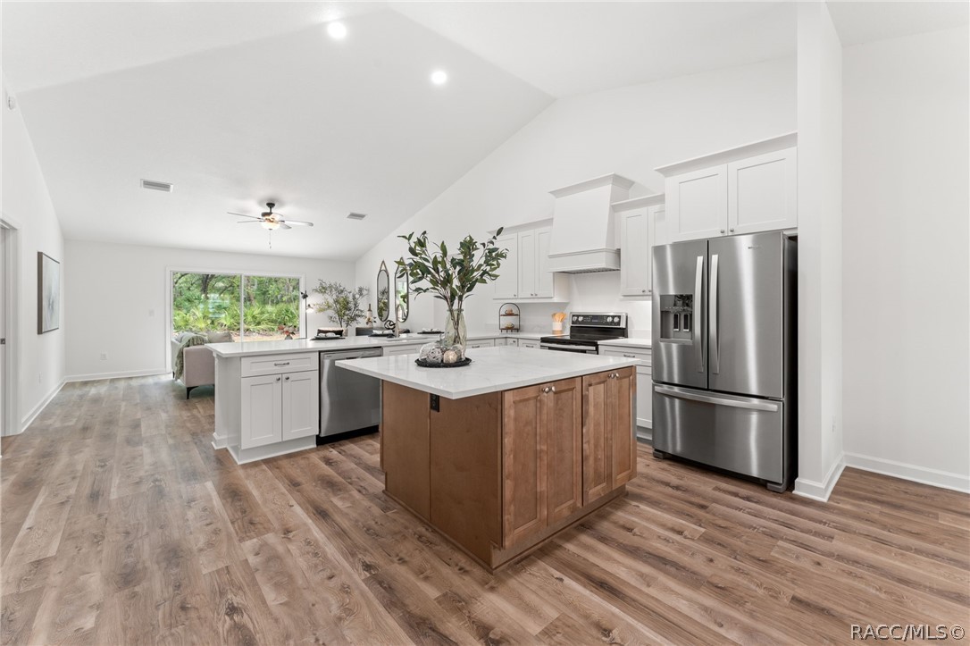 10364 N Coco Plumosa Drive