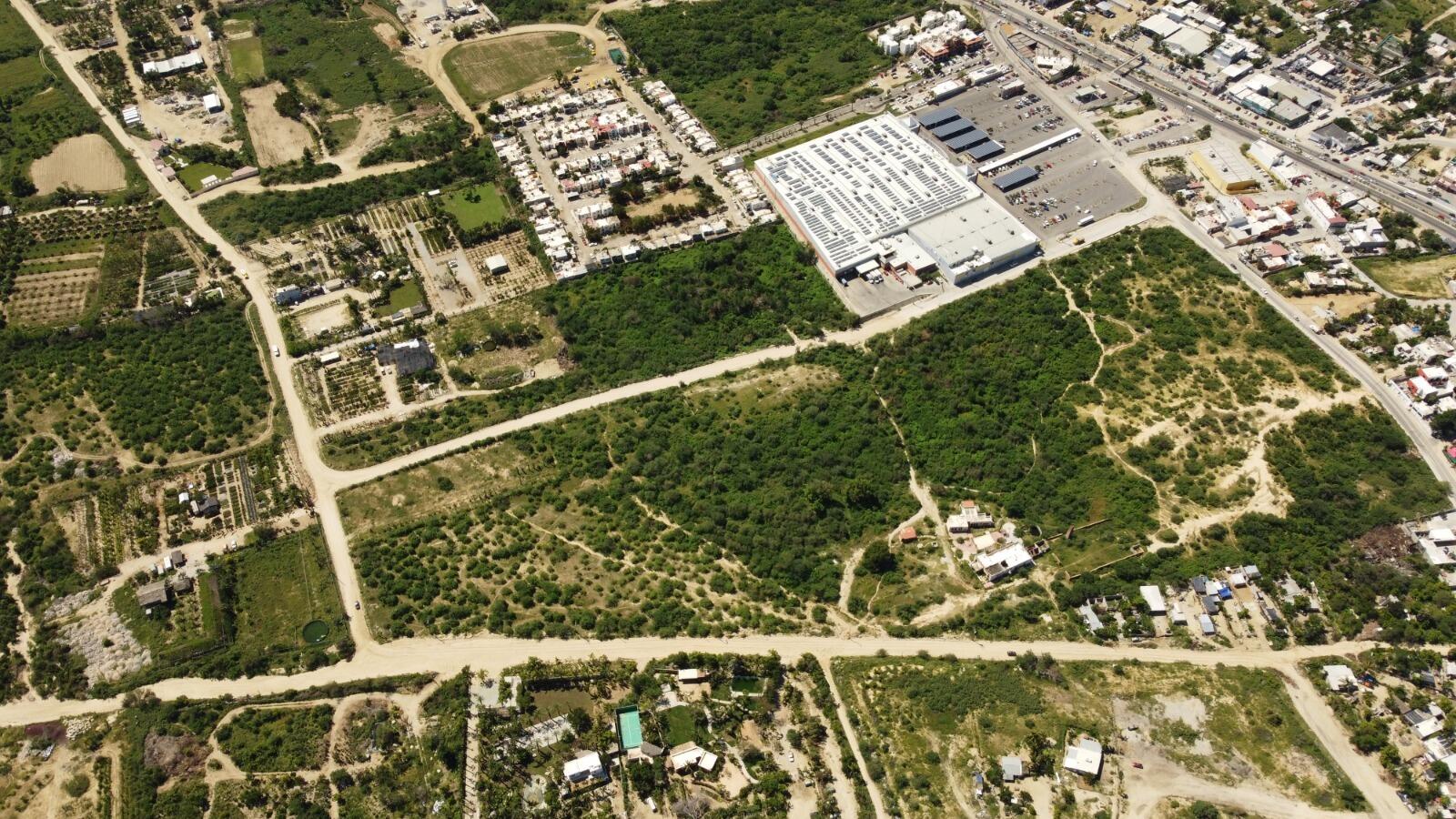 Miguel de Cervantes Saavedra