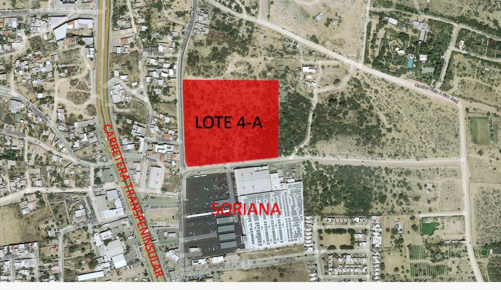 Miguel de Cervantes Saavedra