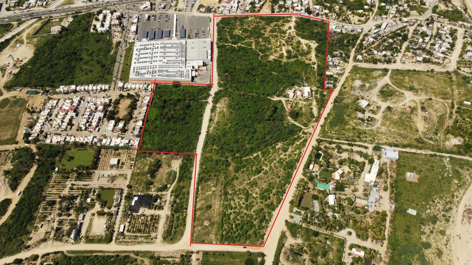 Miguel de Cervantes Saavedra