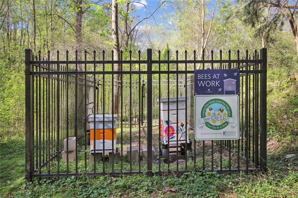 285 Brackenwood Circle