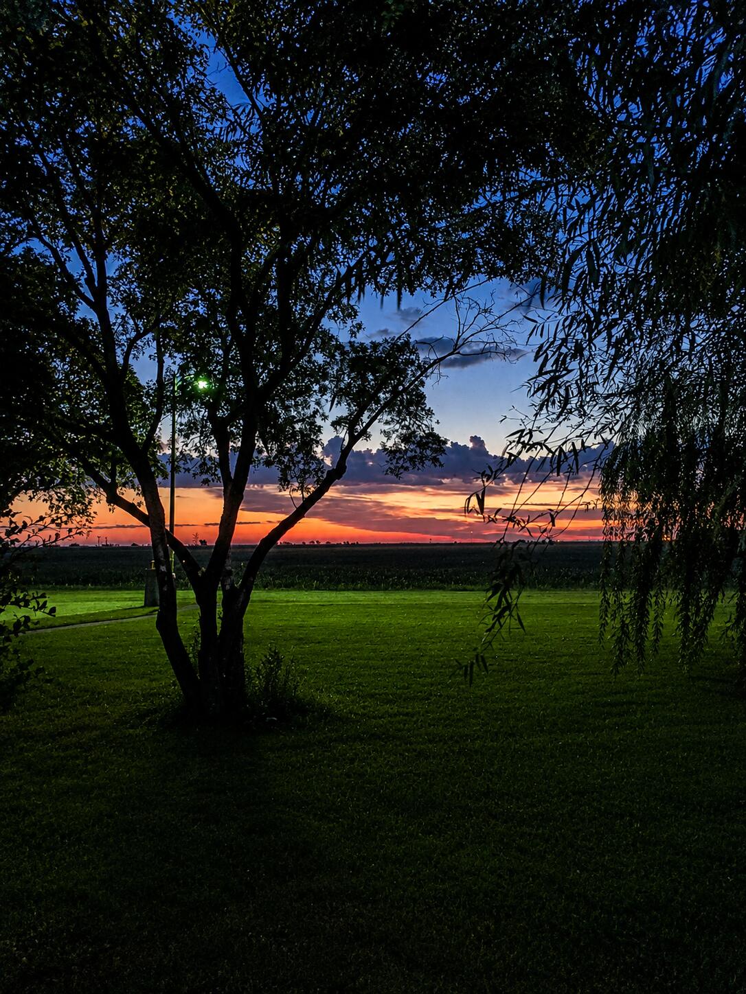 16014 County Road 3460
