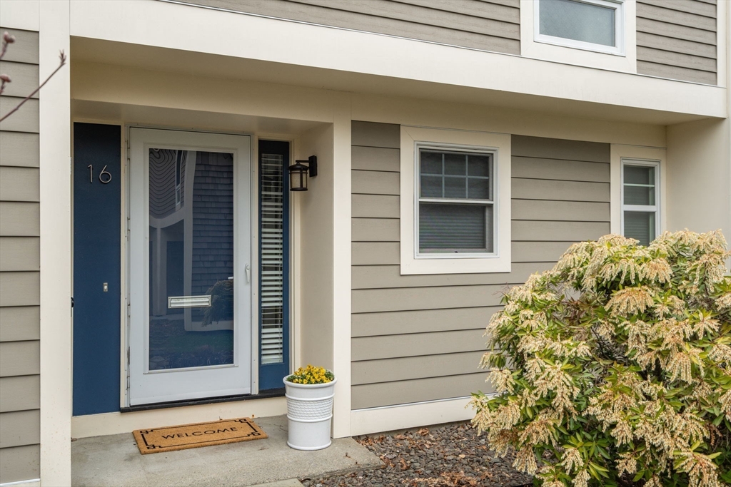 11 Oak St # 16