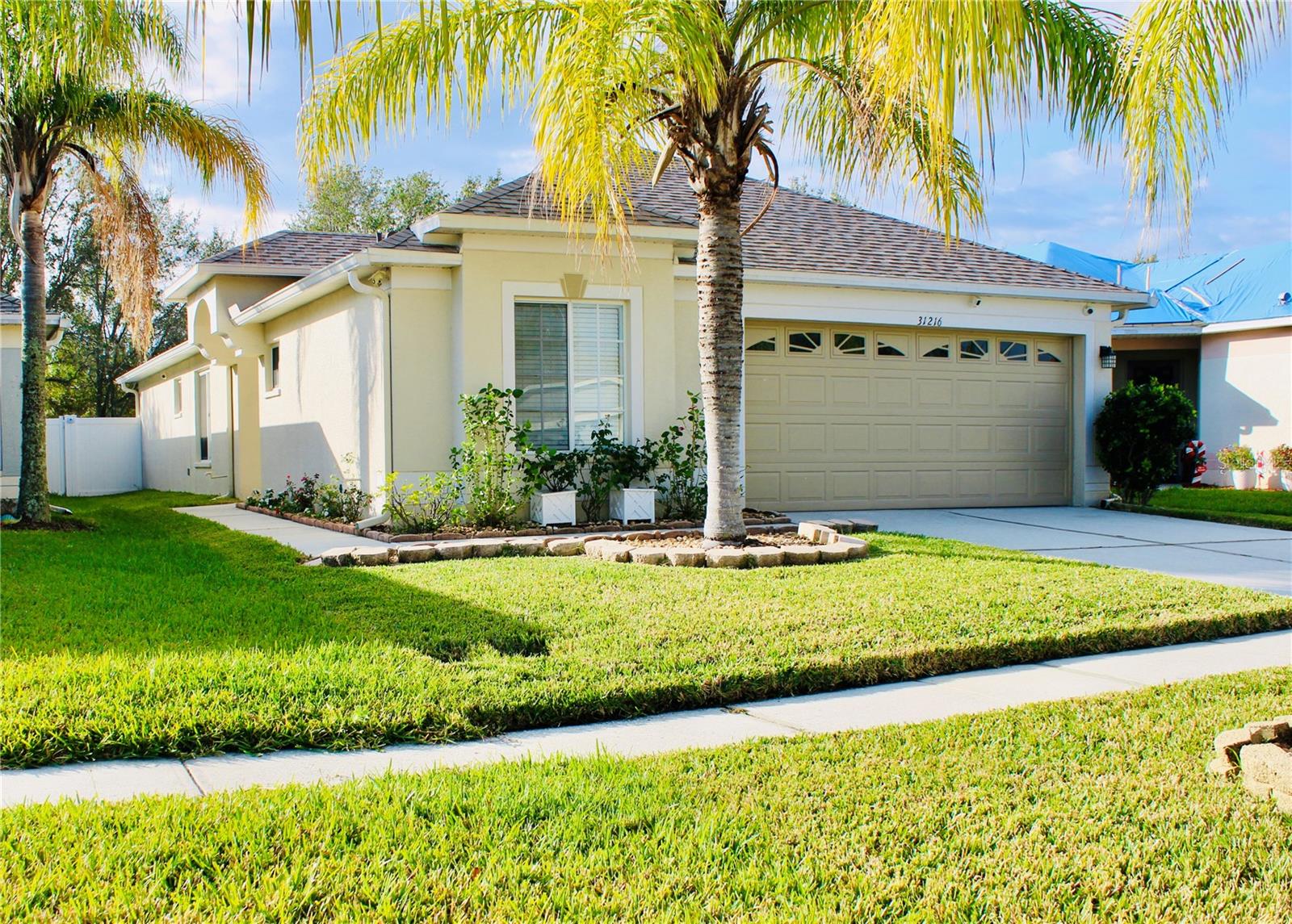 31216 MASENA DR