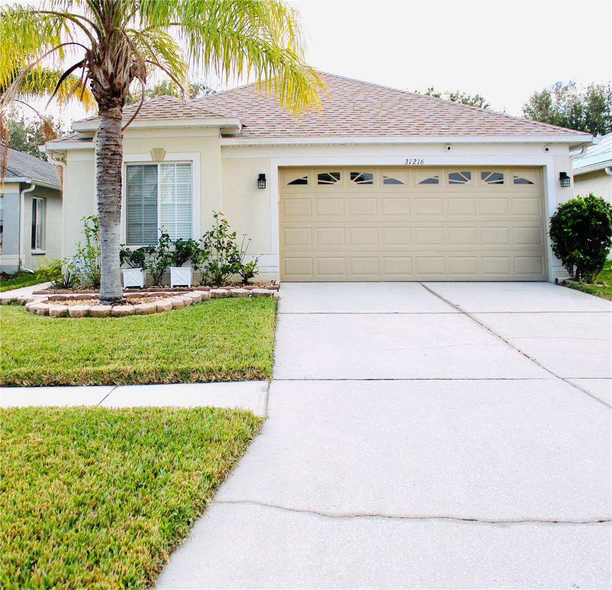 31216 MASENA DR