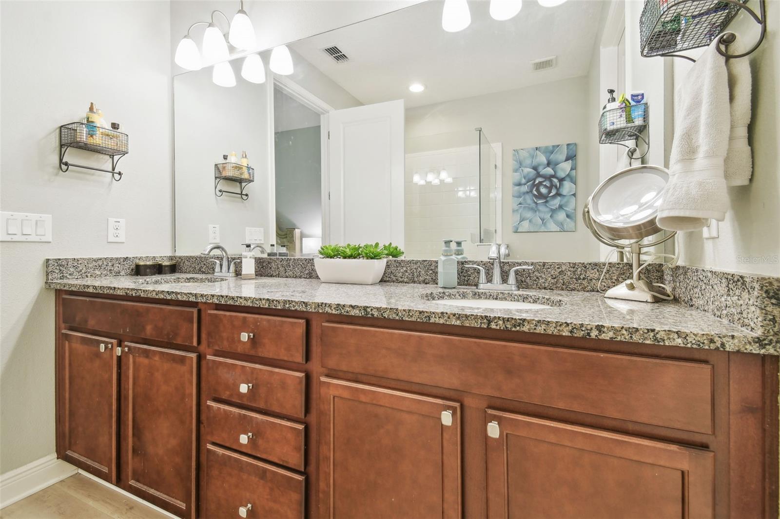 17880 ALTHEA BLUE PL