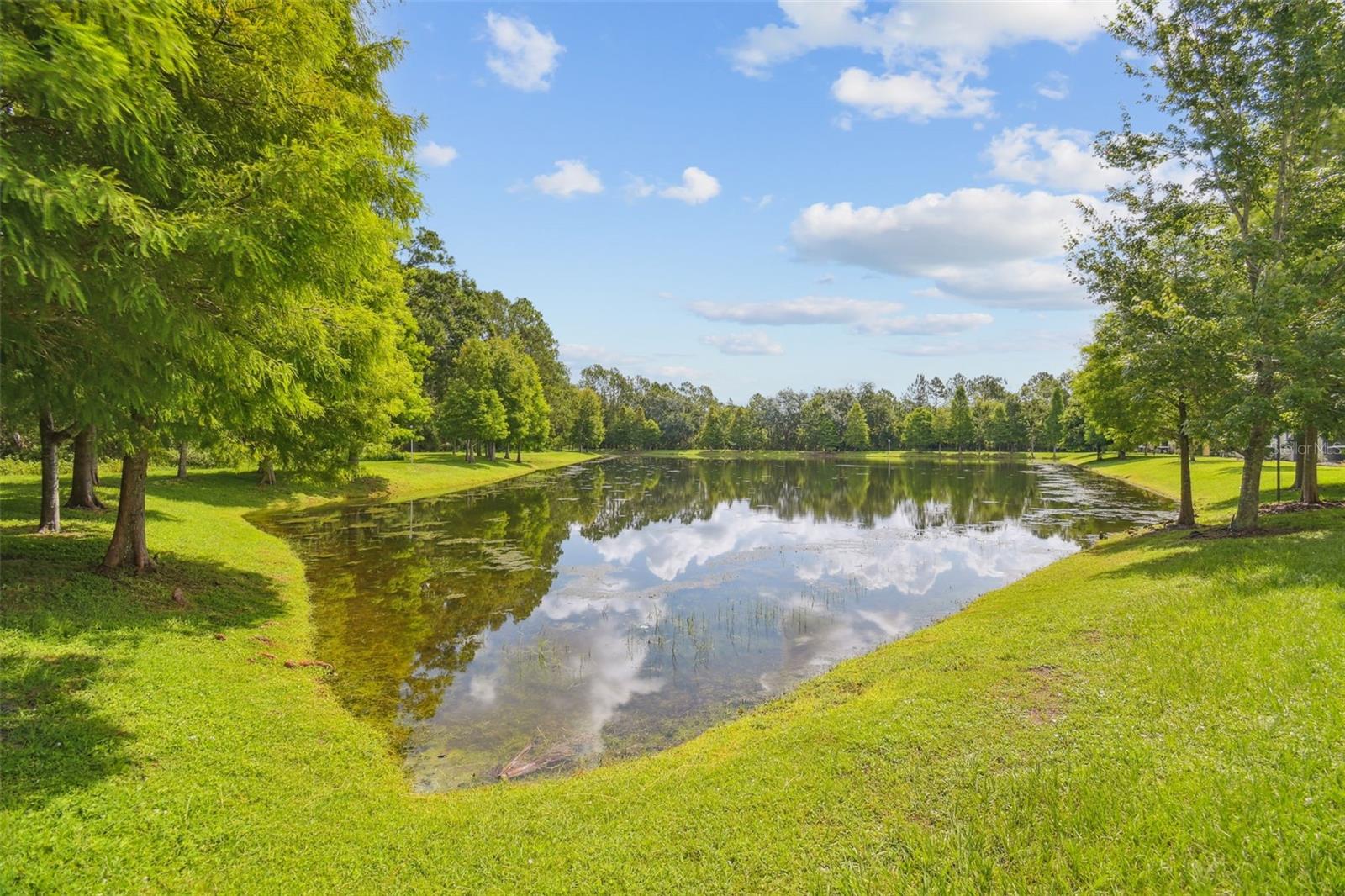 17880 ALTHEA BLUE PL