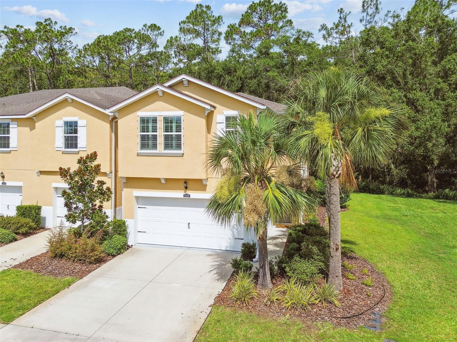 17880 ALTHEA BLUE PL