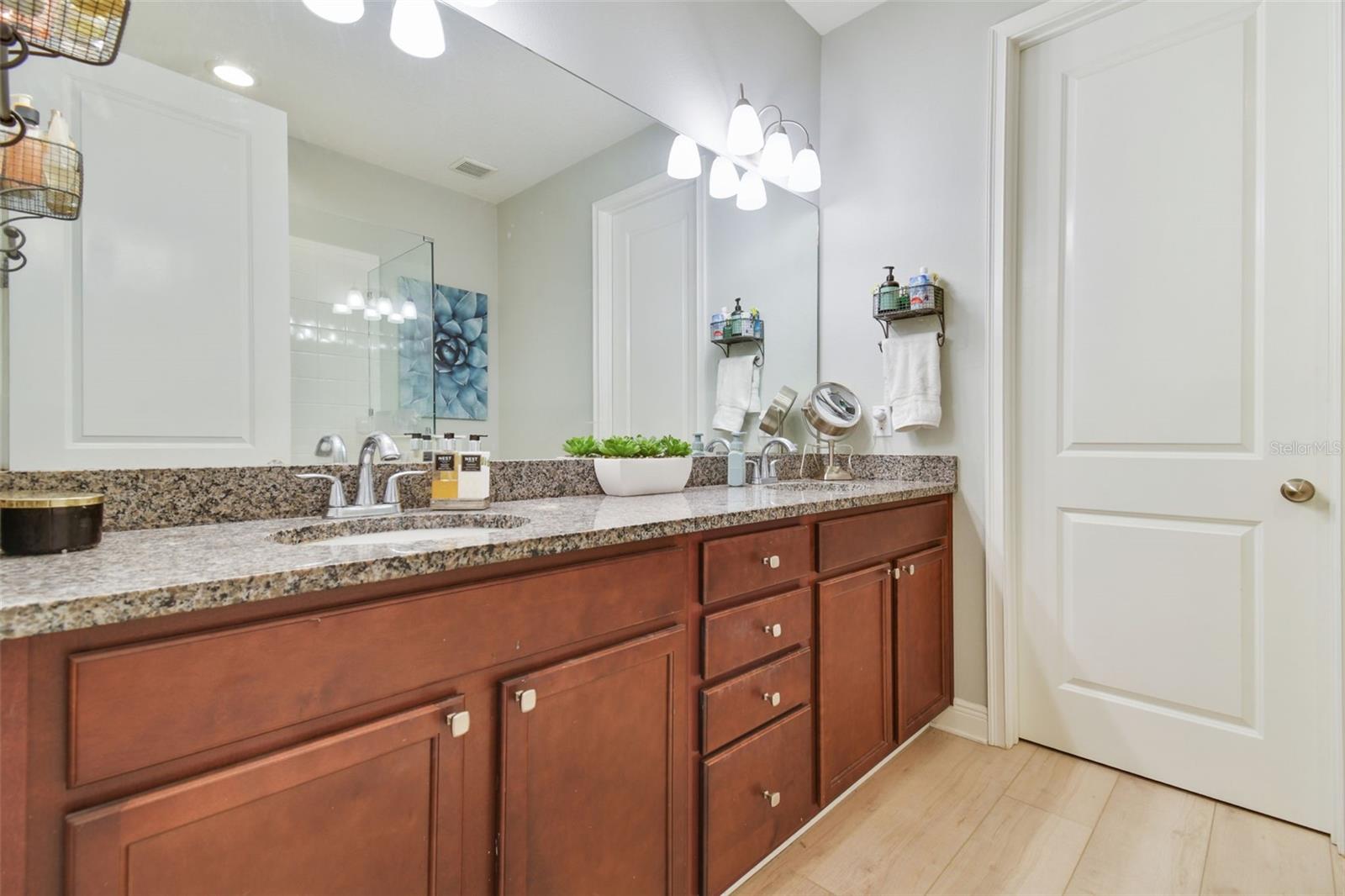 17880 ALTHEA BLUE PL