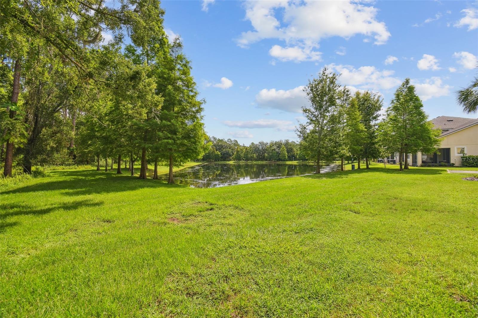 17880 ALTHEA BLUE PL