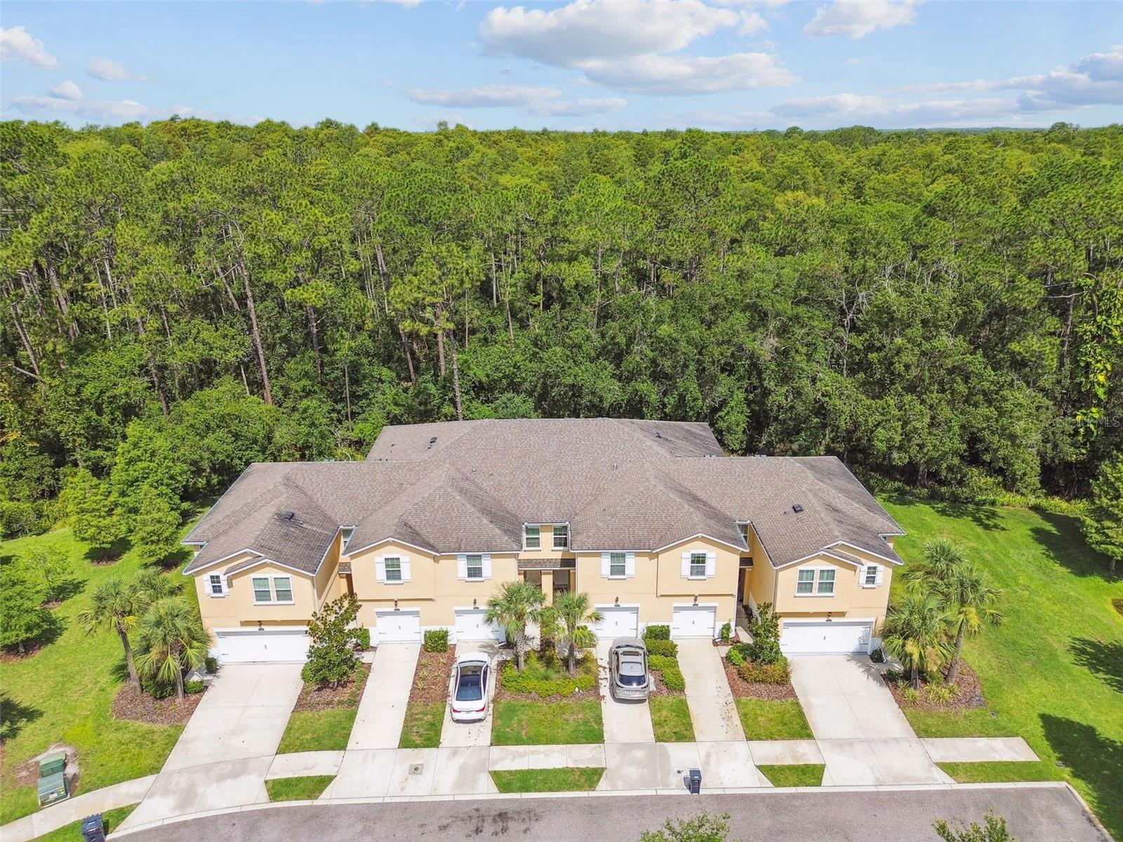 17880 ALTHEA BLUE PL