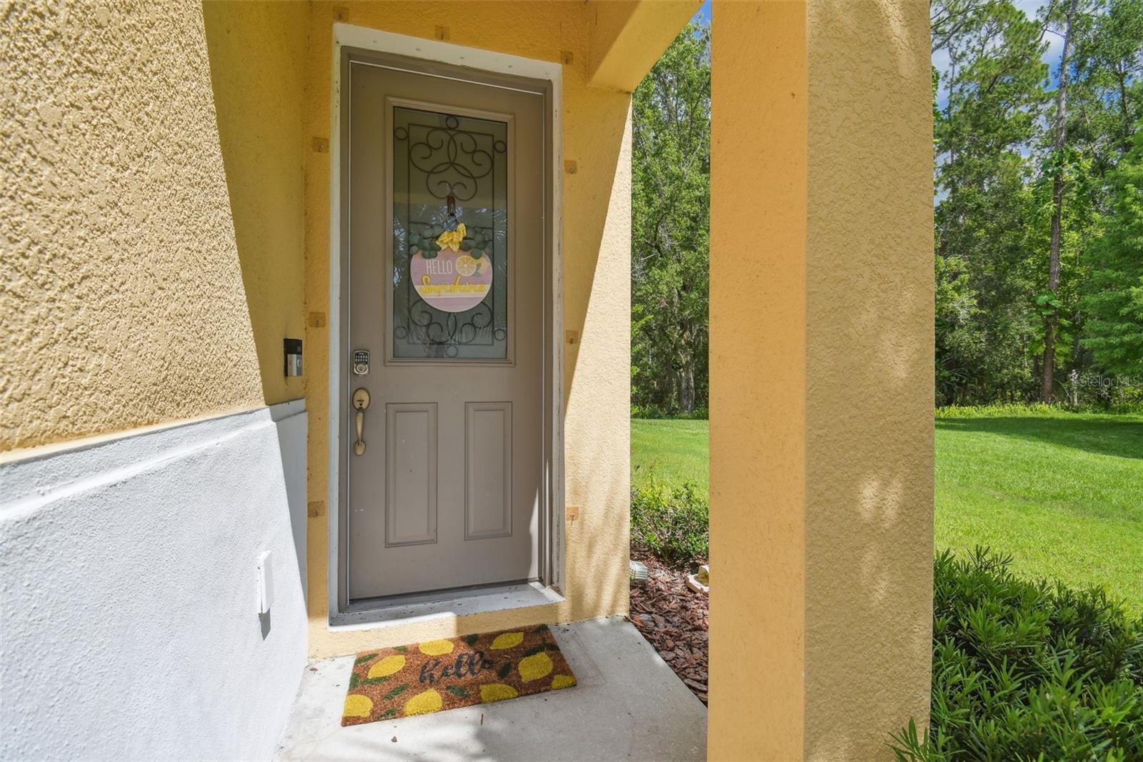 17880 ALTHEA BLUE PL