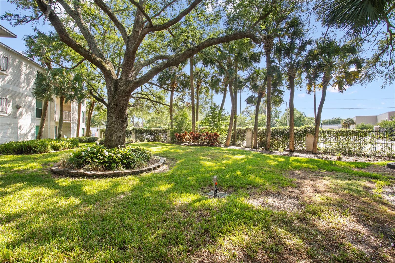 3325 BAYSHORE BLVD #E14