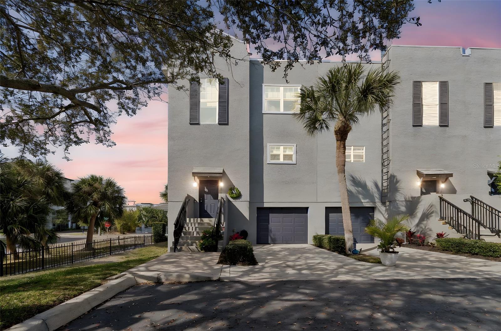 5321 ESCENA CT