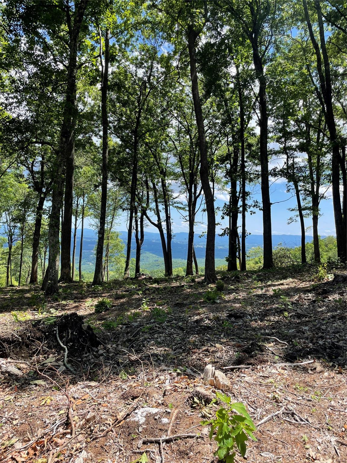 0000 East Garden Trail Unit: Lot 38