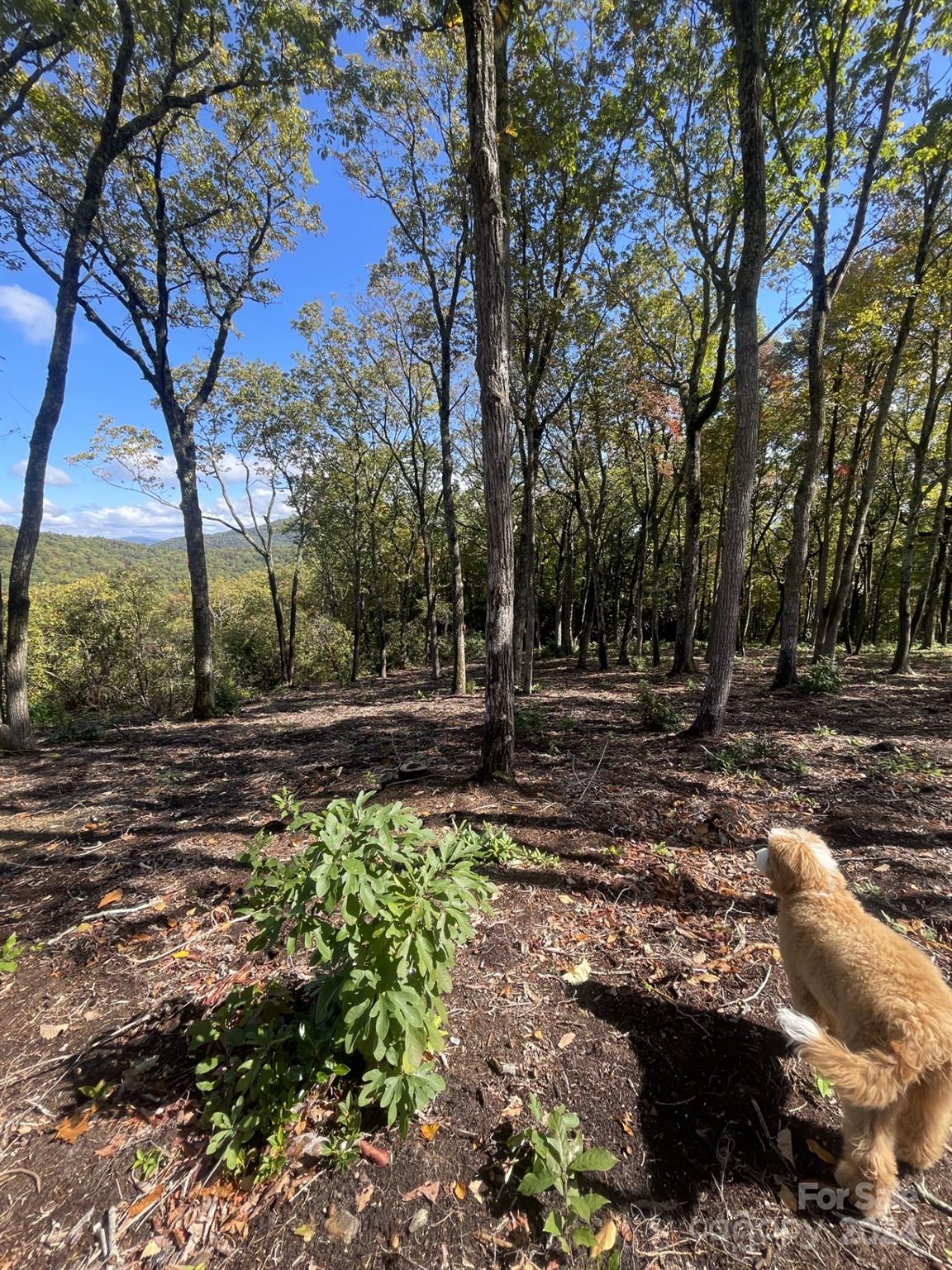 0000 East Garden Trail Unit: Lot 45