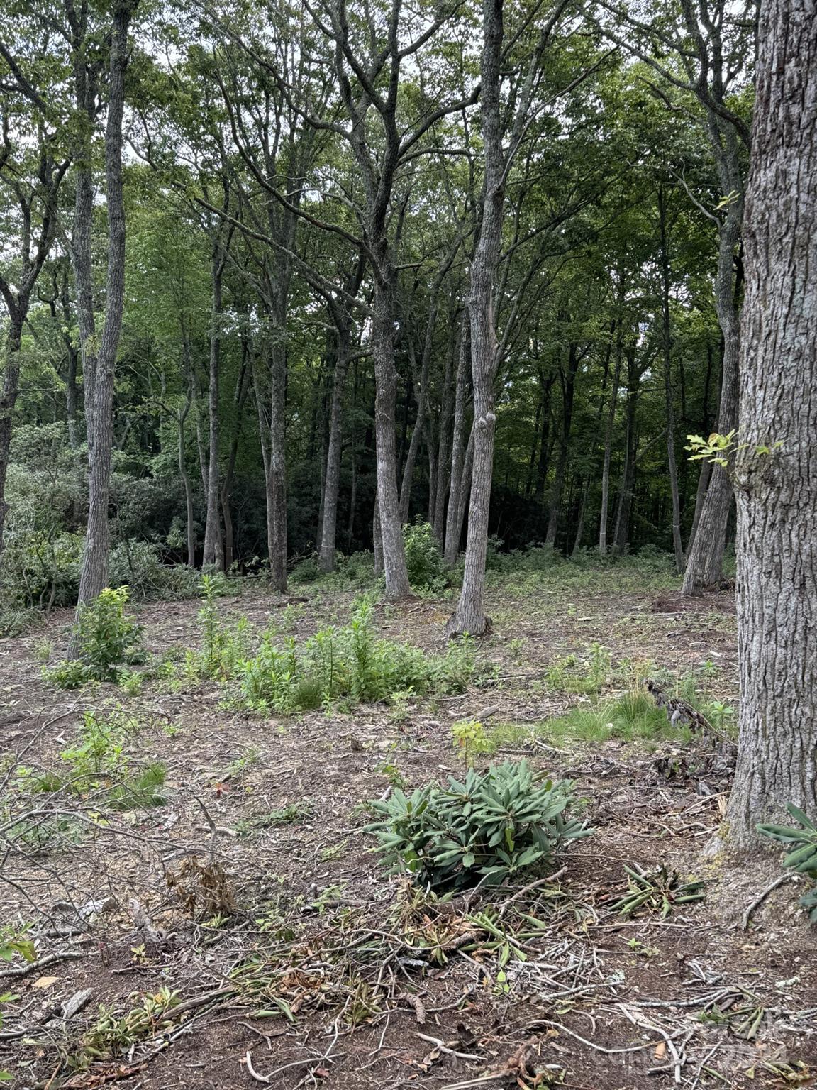 0000 East Garden Trail Unit: Lot 45