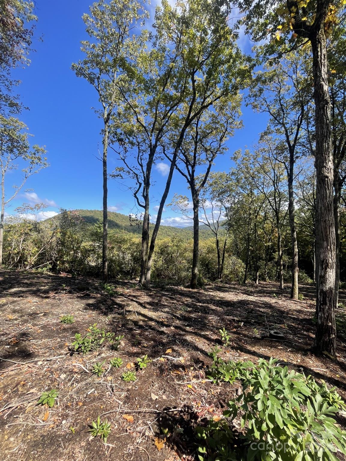 0000 East Garden Trail Unit: Lot 45