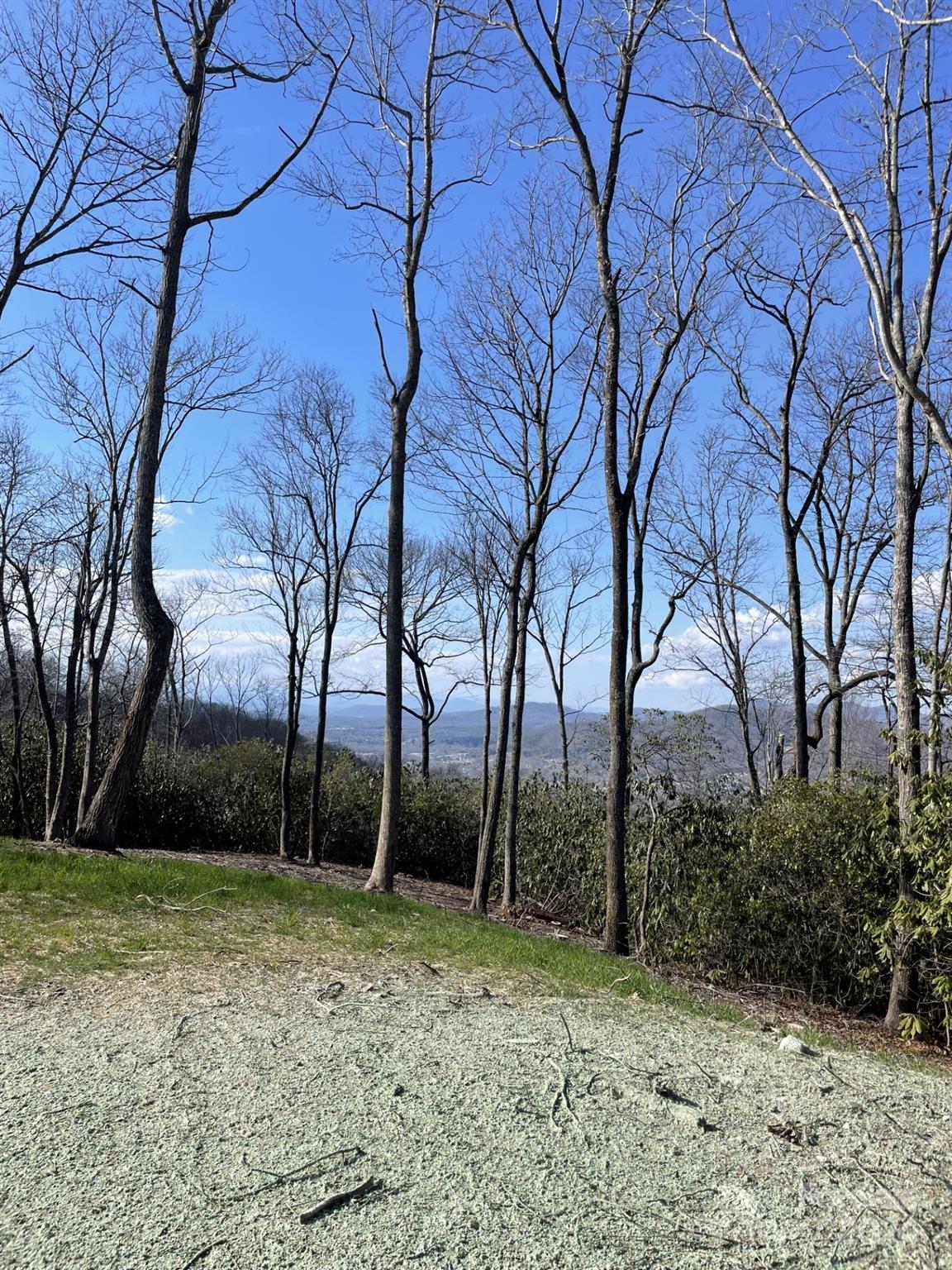 0000 Hemlock Grove Trail Unit: Lot 53