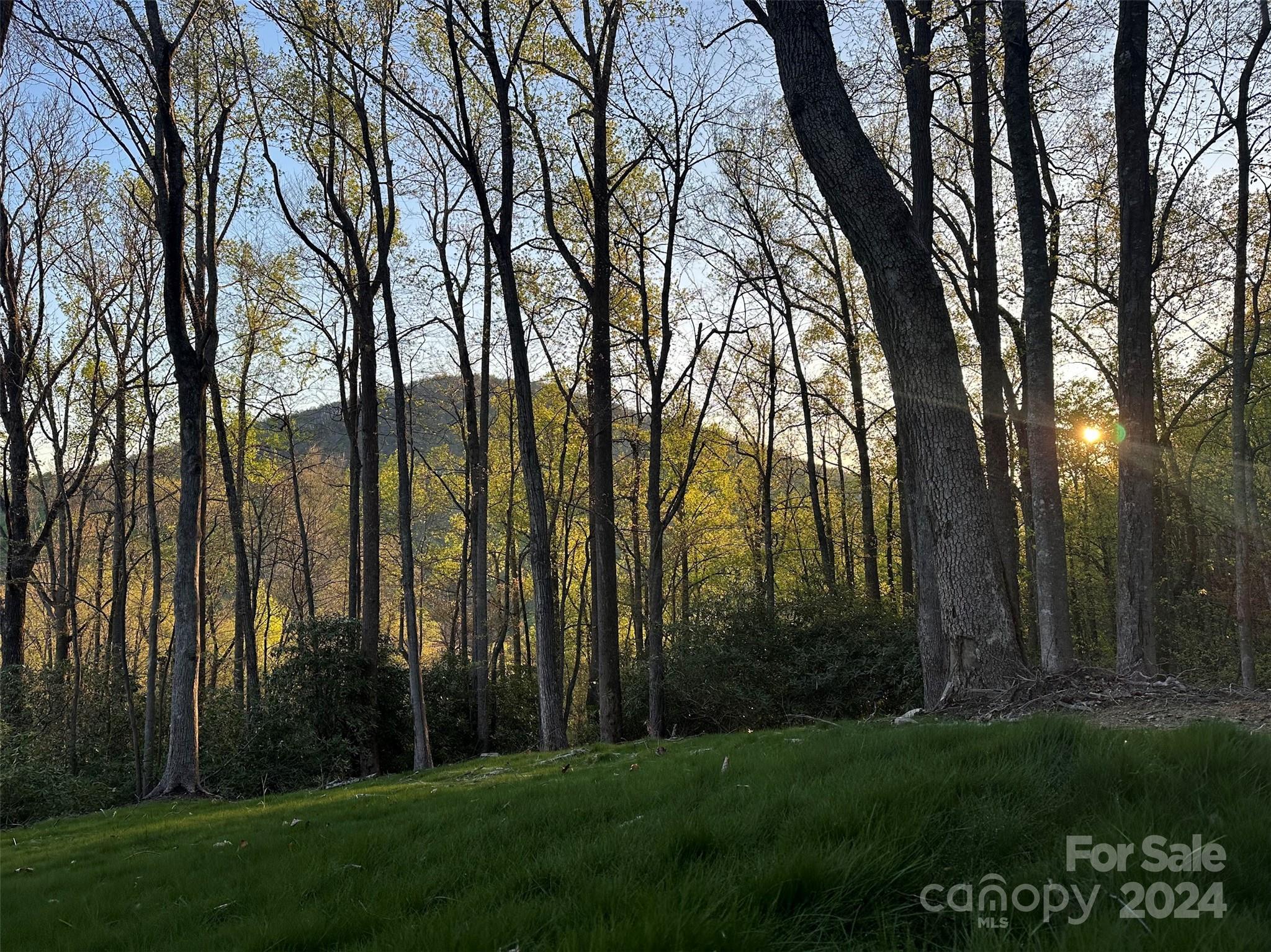 0000 Hemlock Grove Trail Unit: Lot 51